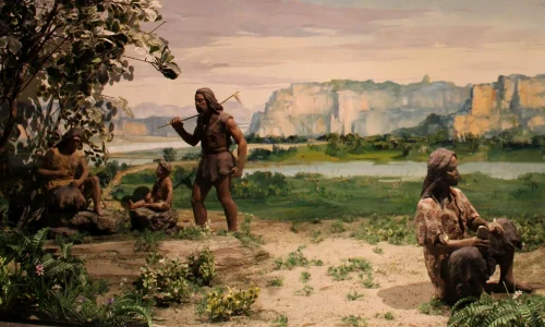 humans ate plant foods 1 webp