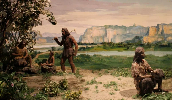 humans ate plant foods 1 webp