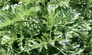 2a46d221 6eee 4480 9b76 2118002b89f4 0 jpeg