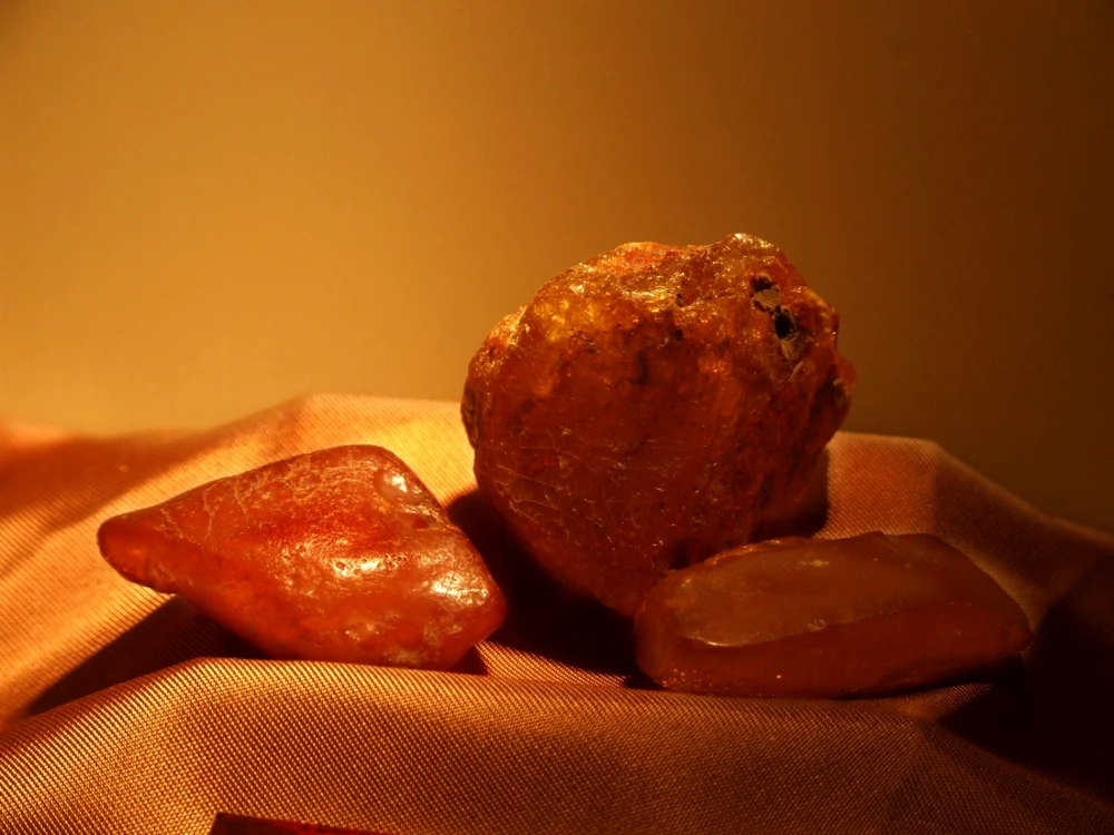 Chihlimbar Foto: CMSN