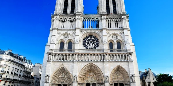 Catedrala Notre Dame Paris FOTO Shutterstock