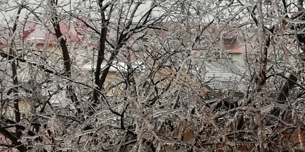 Polei Bucureşti / FOTO Laura Grigore / 26 ian 2019