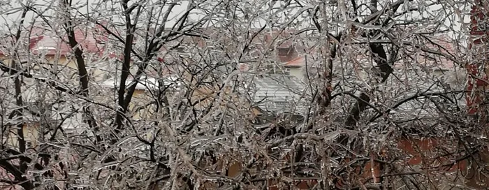 Poleiul a pus stăpânire pe toată ţara FOTO Laura Grigore