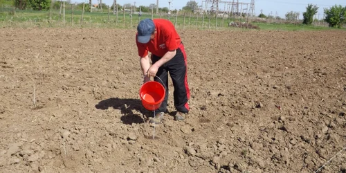 fermier in mehedinti FOTO Alexandra Georgescu 