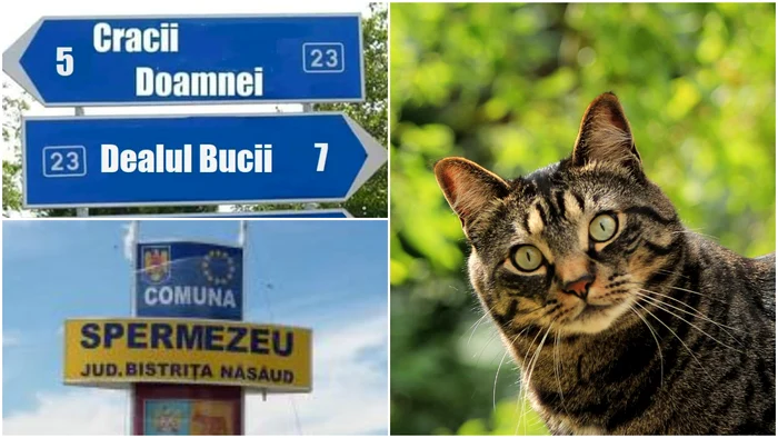 Cele mai amuzante nume de localități din România. Foto: colaj Click