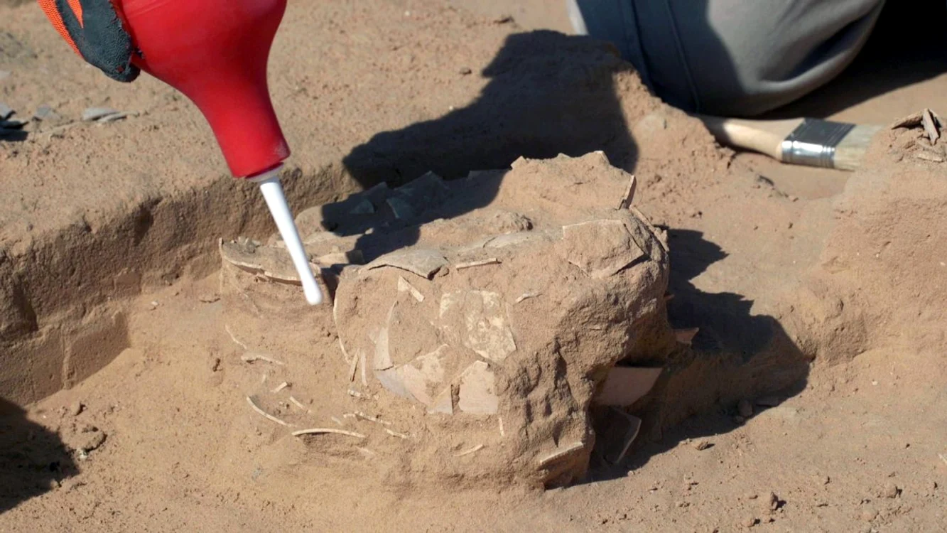 Arheologii din Israel au descoperit opt ouă de struț, cu o vechime cuprinsă între 4.000 și 7.500 de ani (foto: Israel Antiquities Authority)
