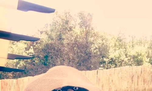 Romanita Iovan sic in vacanta (13) jpeg