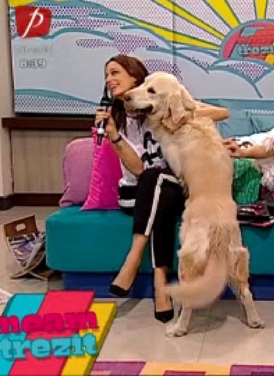 Adrian Nicolae şi Andreea Raicu (FOTO NEAM TREZIT)