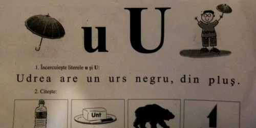 Udrea are un urs negru din pluş