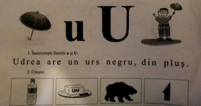 Udrea are un urs negru din pluş