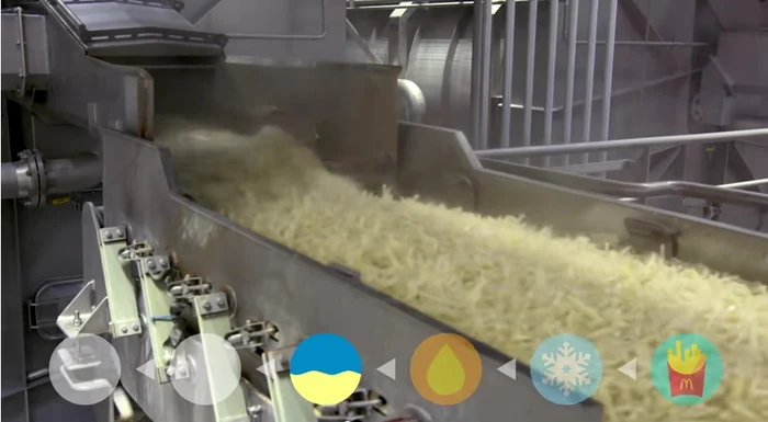 Cartofii trec prin mai mulţi paşi în fabrică, printre care prăjire şi congelare