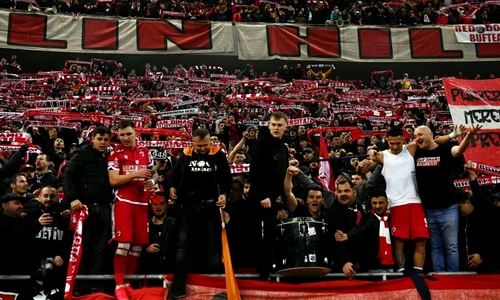 fani dinamo jpeg
