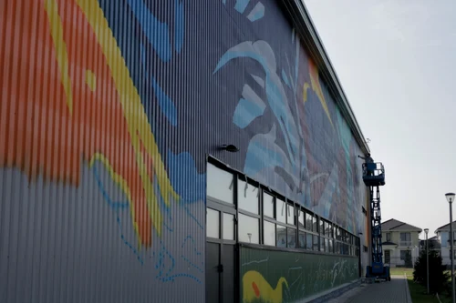 Pictura uriaşă de pe sala de sport din Dumbrăviţa