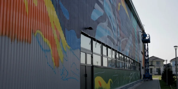 Pictura uriaşă de pe sala de sport din Dumbrăviţa