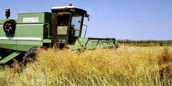 Agricultura în Delta Dunării, destul de scumpă