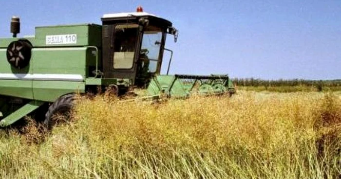 Agricultura în Delta Dunării, destul de scumpă