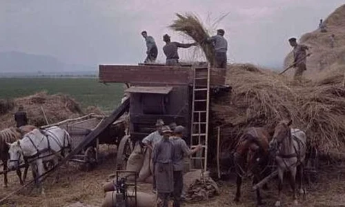 Mitul Planului Valev persistă jpeg