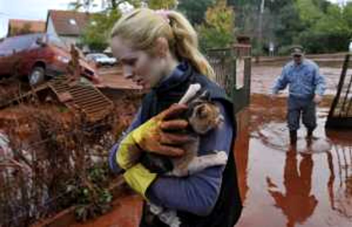 Dezastru ecologic în trei comitate din Ungaria / sursa foto: AP