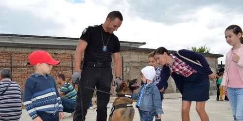 Cainele politist Omu Galati Foto Oana Cernat