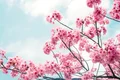 image png