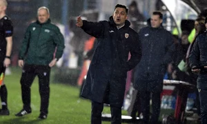 radoi mirel rps7037m jpeg