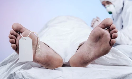 1 shutterstock 1685706172 jpg jpeg