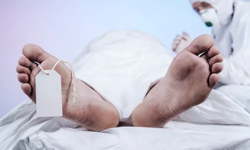 1 shutterstock 1685706172 jpg jpeg