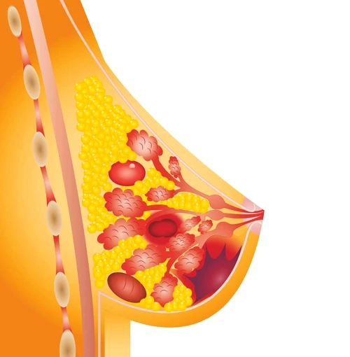 1 66073 original jpg jpeg