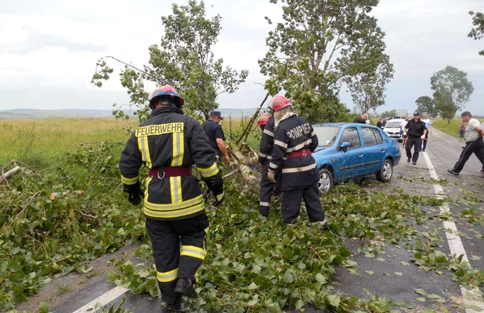 Autorităţile, pregătite să intervină FOTO Adevărul