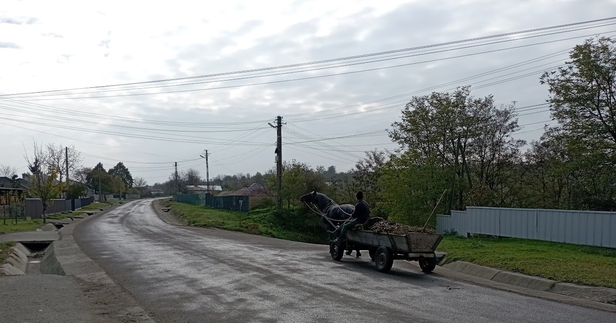 Sărăcia, factor declanșator pentru consumul de alcool și depresie. “Gândul de unde mai scot bani pentru copii, acela n-are leac”