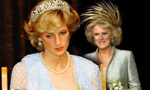 lady diana camilla combo jpg