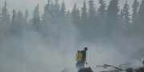 Pompierii se lupta sa stinga incendiul care a cuprins pădurea de molid de pe Muntele Puru