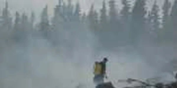Pompierii se lupta sa stinga incendiul care a cuprins pădurea de molid de pe Muntele Puru