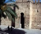 tunisia foto lucian muntean 26 0 jpg