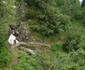 traseu bucegi malaiesti
