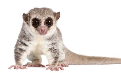 1 shutterstock 73795027 jpg jpeg