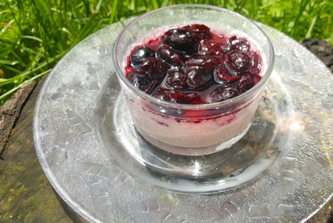 Panna cotta cu cireşe