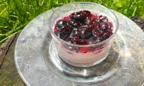 panna cotta cu cirese jpeg