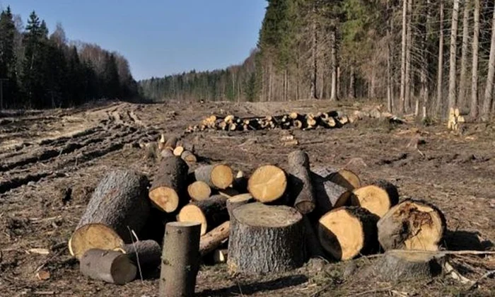 Se pregăteşte un atac de proporţii la adresa naţiunii române  jpeg