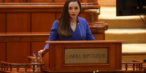 Anamaria Gavrilă FOTO Inquam / George Calin 