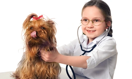 1 56637 original jpg jpeg