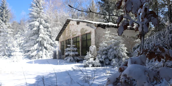 Unitatea militara Vadu Dobrii  Foto Daniel Guță  ADEVĂRUL (49) JPG