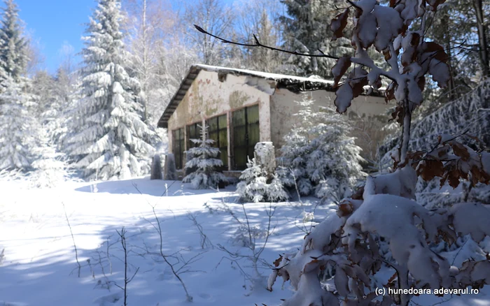 Unitatea militară de la Vadu Dobrii. Foto: Dniel Guță ADEVĂRUL