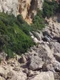 thassos 935935 1280 jpg