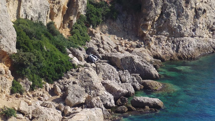 O româncă s-a plâns de invazia de viespi din Thassos / FOTO: Pixabay