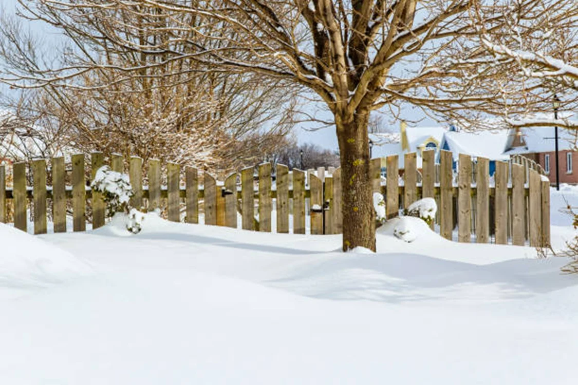 Zăpada este foarte utilă în grădină / foto: IStock