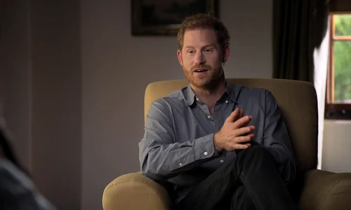 1 profimedia 0611175695 jpg jpeg