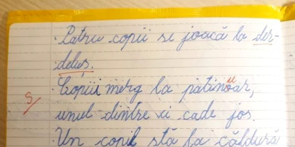 lucrare elev iasi 