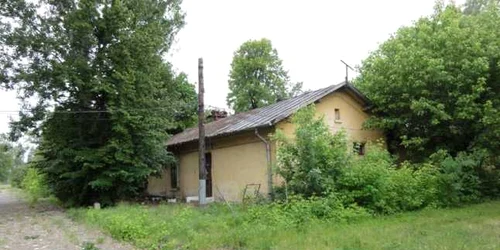 Clădirile de pe terenul fostei unităţi militare au fost năpădite de vegetaţie
