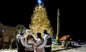 bradul chel cehia profimedia jpg